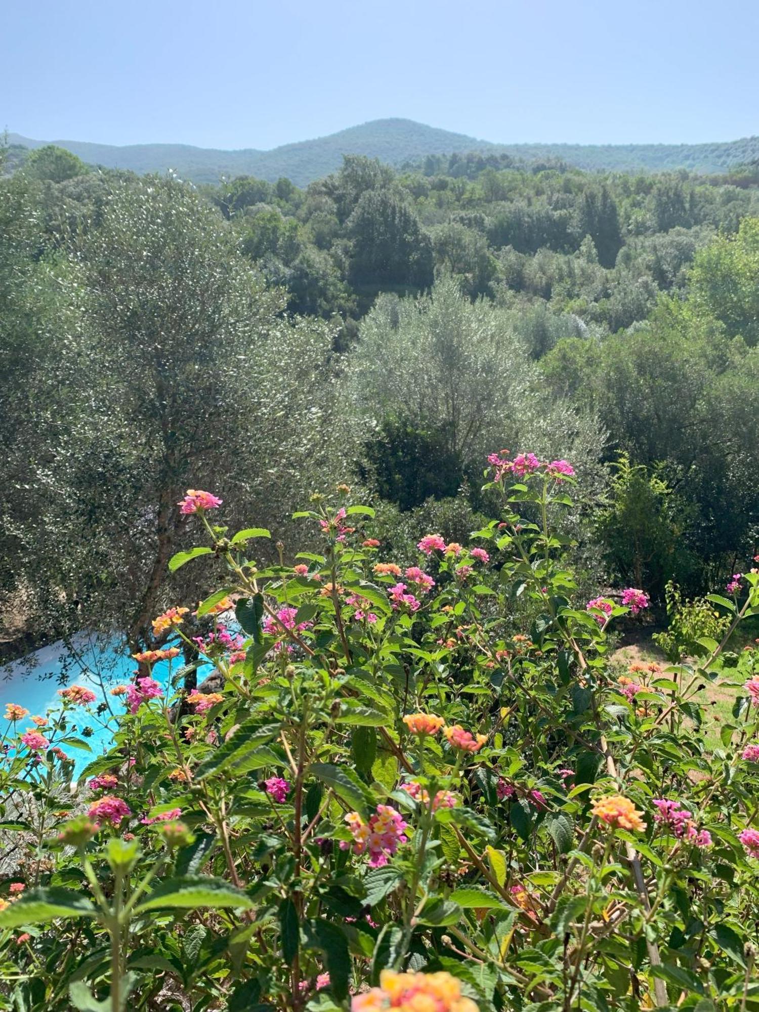 Chambre D'Hotes A Vadina Porticcio Porticcio  Εξωτερικό φωτογραφία