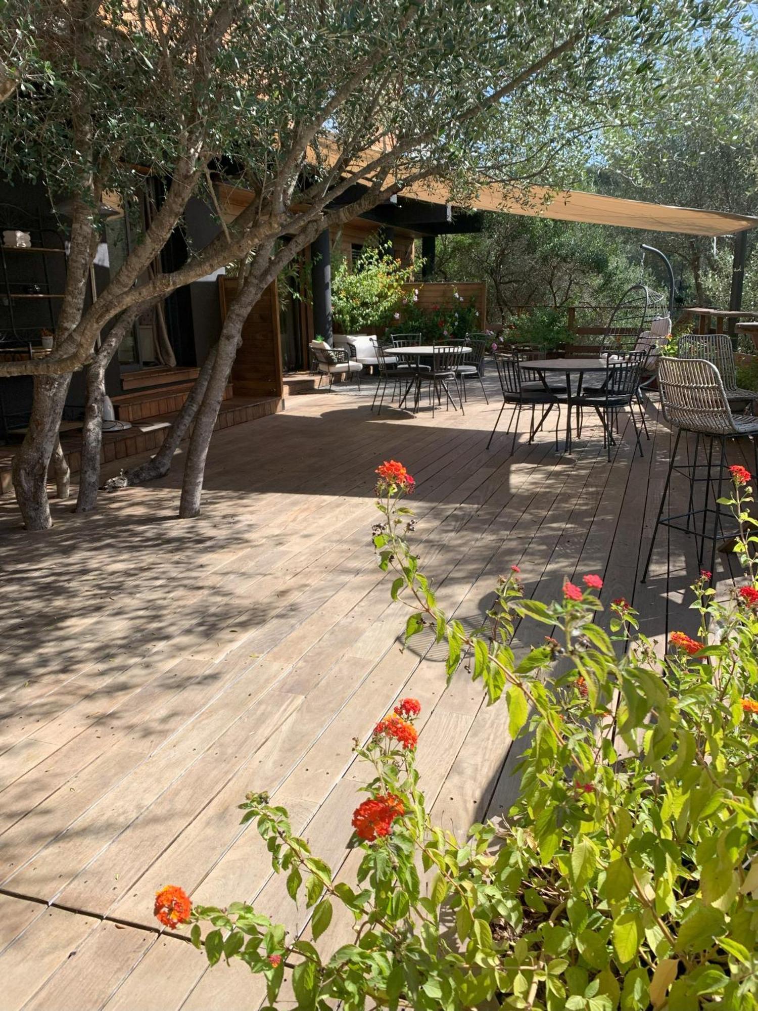 Chambre D'Hotes A Vadina Porticcio Porticcio  Εξωτερικό φωτογραφία