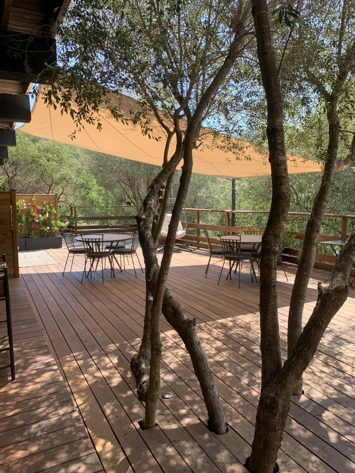 Chambre D'Hotes A Vadina Porticcio Porticcio  Εξωτερικό φωτογραφία