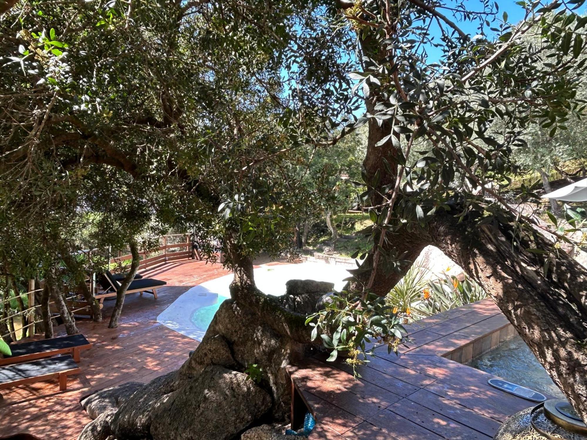 Chambre D'Hotes A Vadina Porticcio Porticcio  Εξωτερικό φωτογραφία